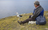 Black-browed Albatross & Tourist